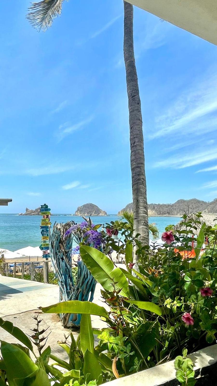 Bungalows Las Hamacas 산 파트리시오 멜라케 외부 사진